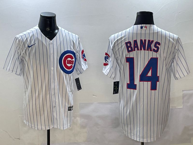 Men Chicago Cubs 14 Banks White Stripe Game 2025 Nike MLB Jersey style 1